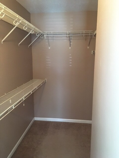 Walking Closet - 8211 Sun Spring Cir