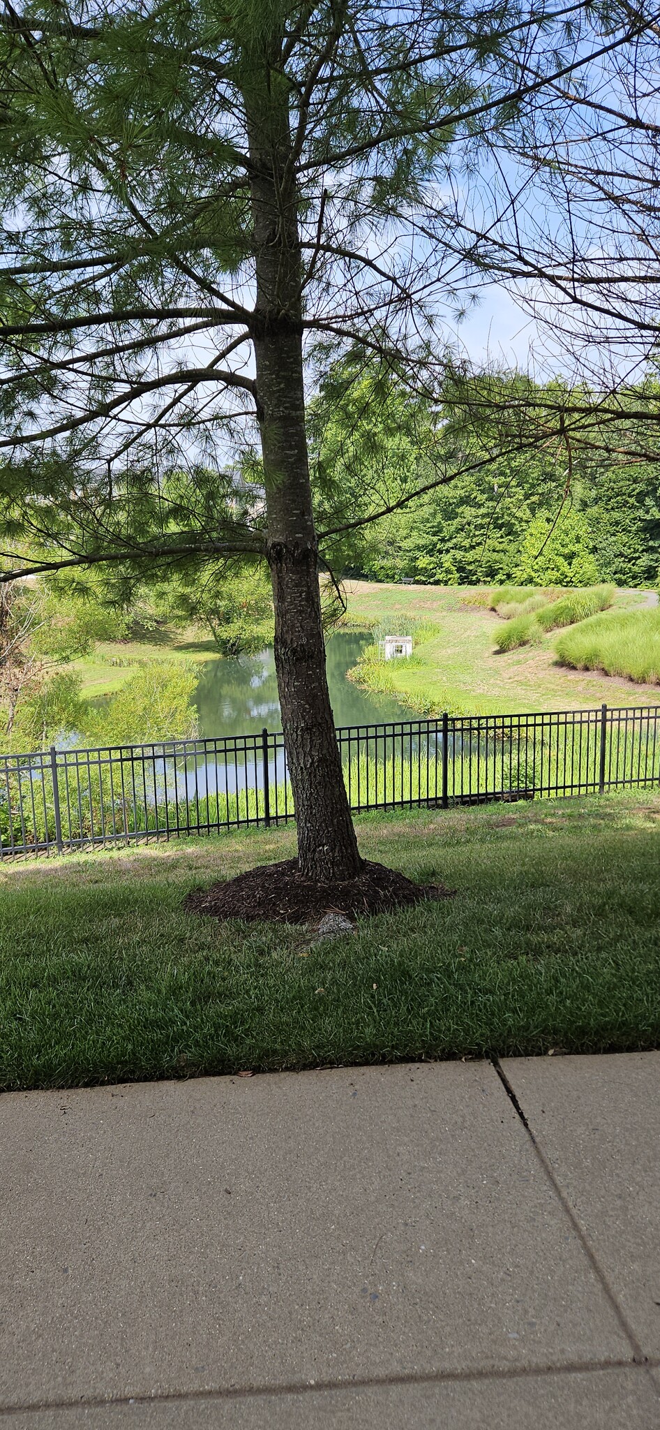 Building Photo - 12332 Rollys Ridge Ave