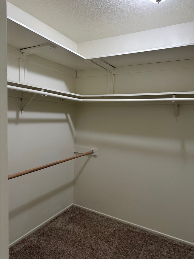 Building Photo - 1393 Scotch Cir