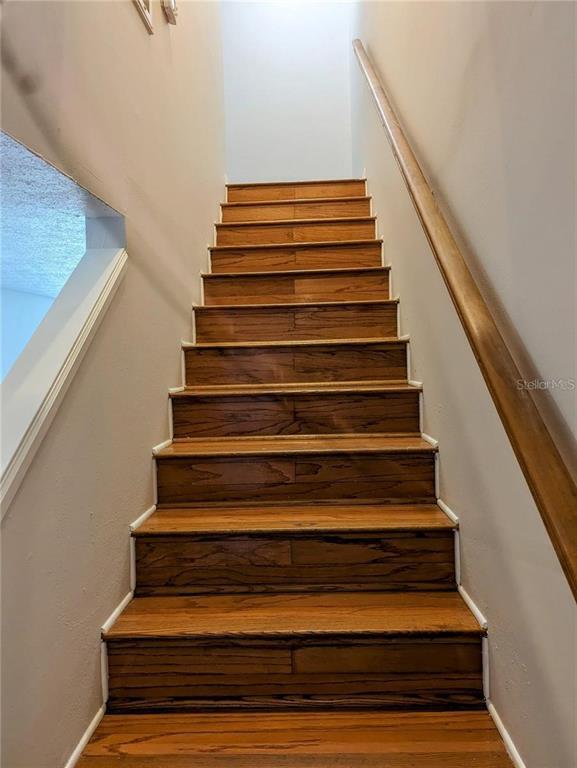 Building Photo - 5401 Bayshore Blvd