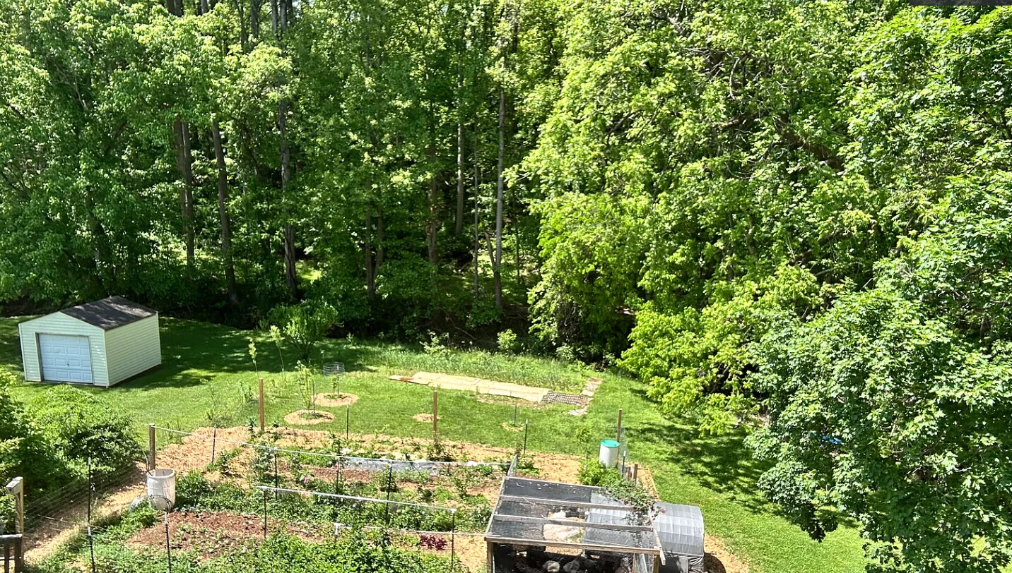 Building Photo - 1113 Ardmore Dr