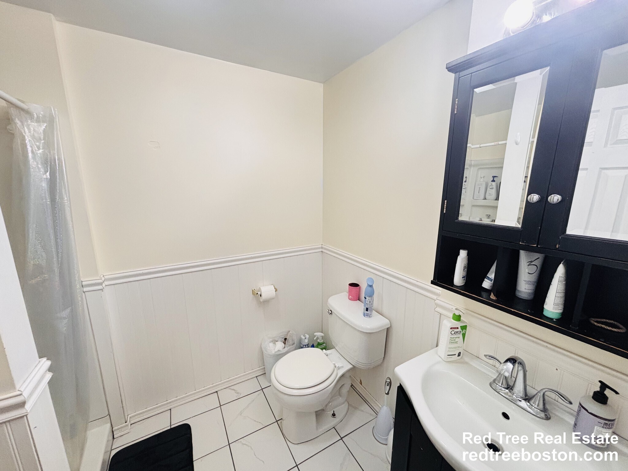 Building Photo - 62 Egmont St