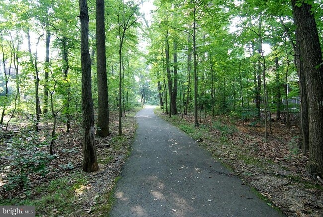 Building Photo - 11719 Dry River Ct