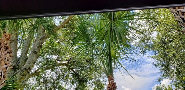 Building Photo - Beautiful  Furnished 1/1 condo x Rent  in Winter Park Next to Full Sail University !