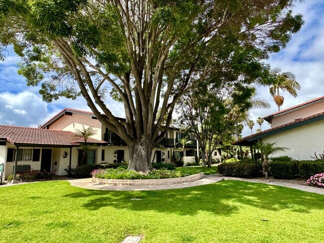 Primary Photo - Spacious, Upgraded, 3 Bedroom 2.5 Bath Con...