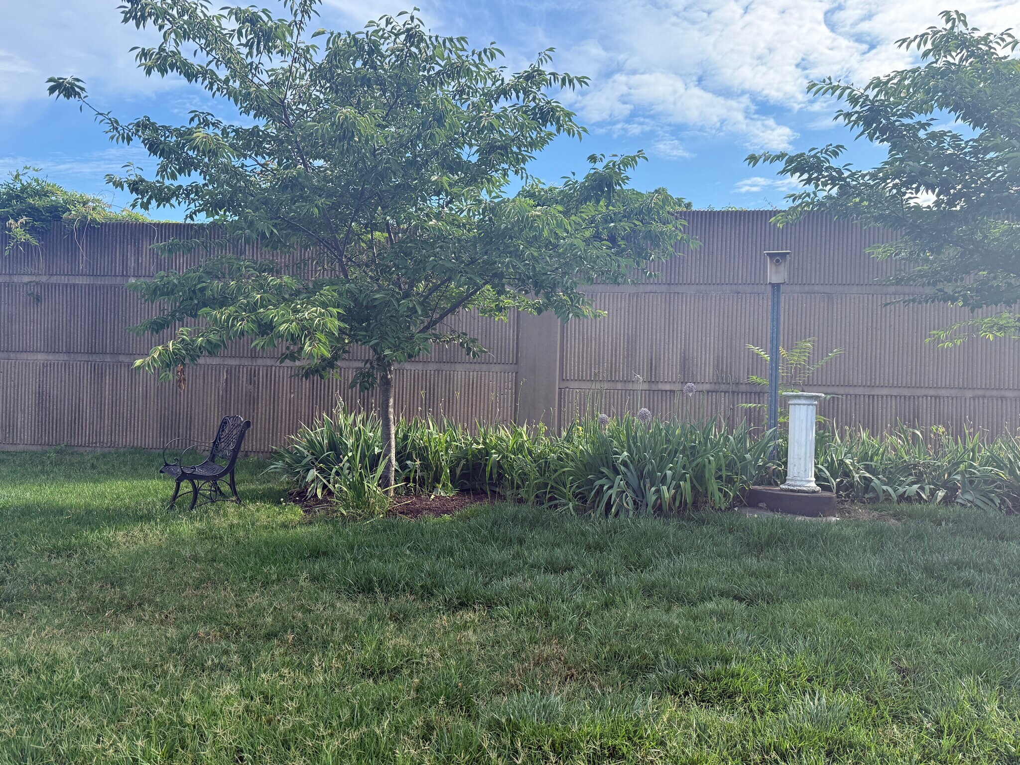 Mature and newly plainted trees throghout - 226 Hillsboro Pl