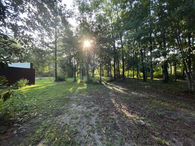Building Photo - Mid-Century Modern Oasis on 5+ Acres – Pri...
