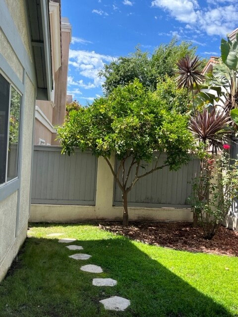 Back yard with fruit trees - 2419 Clark Ln