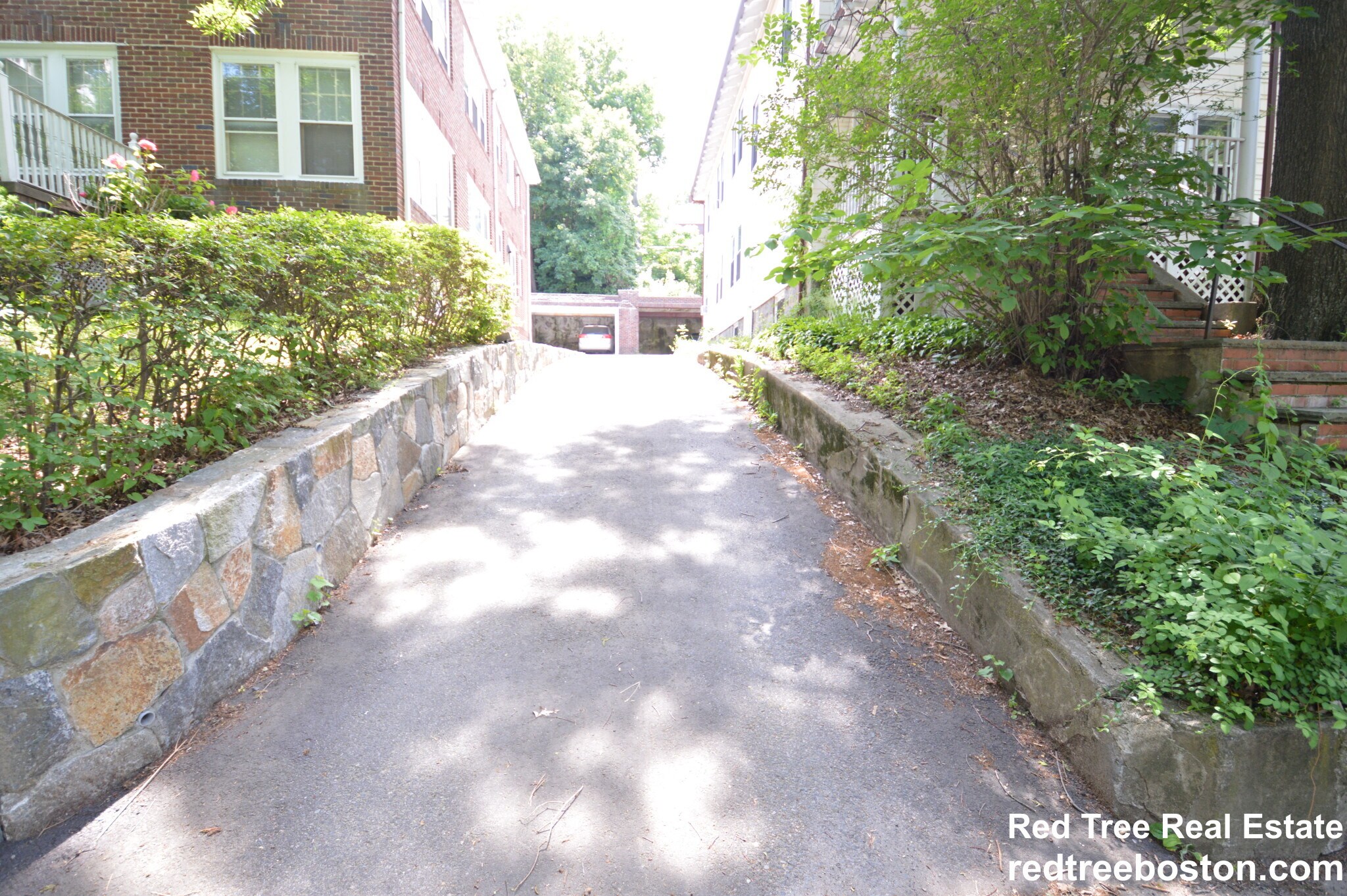 Building Photo - 244 Winchester St