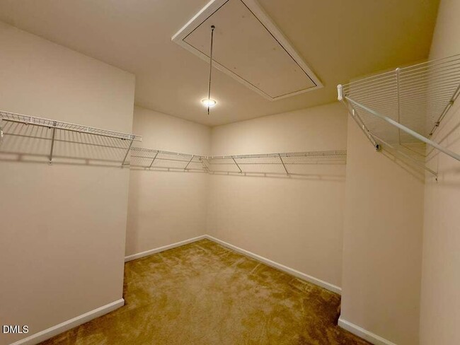 Building Photo - 3233 Retama Run