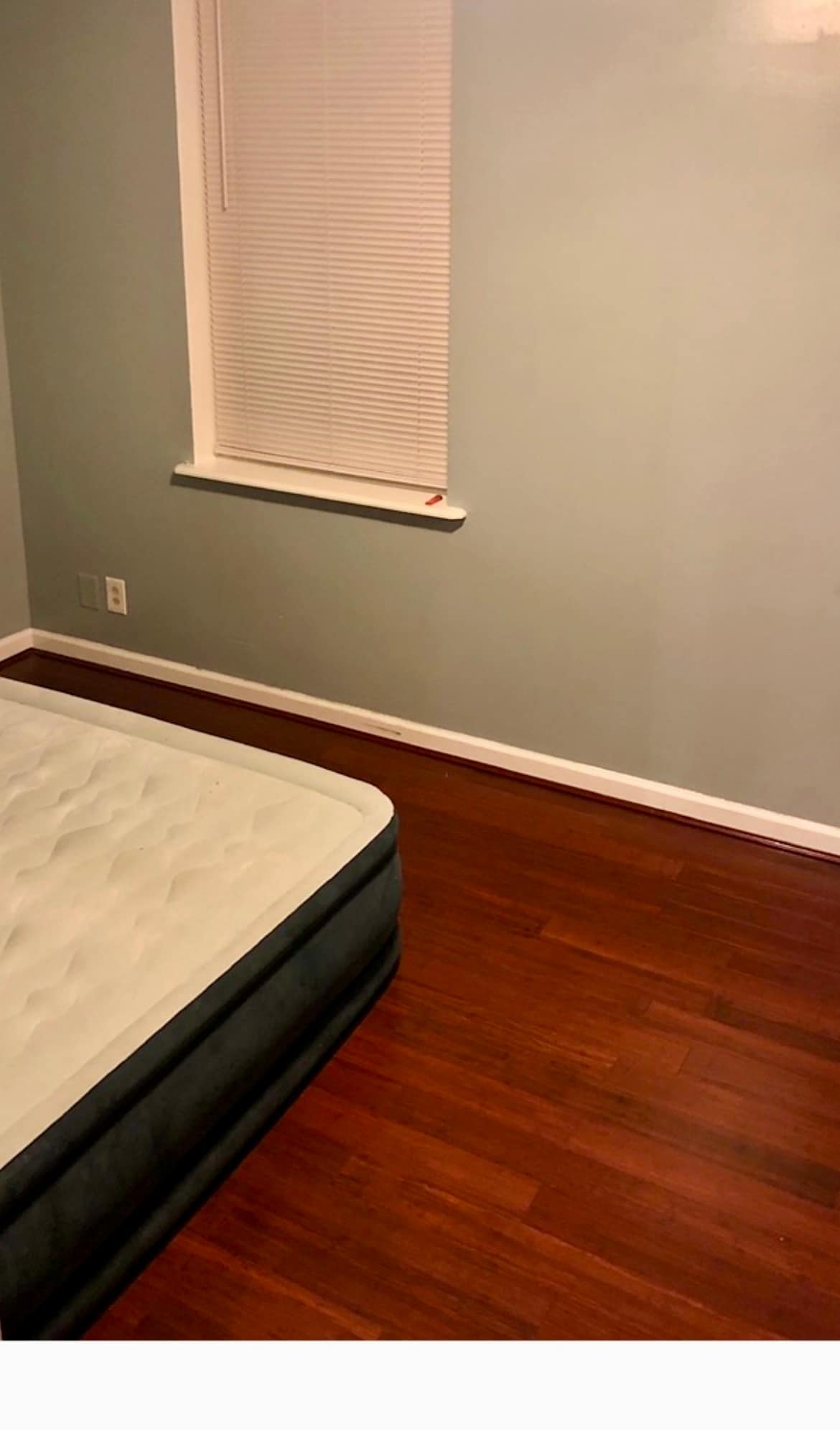 Building Photo - 143 Delphine St