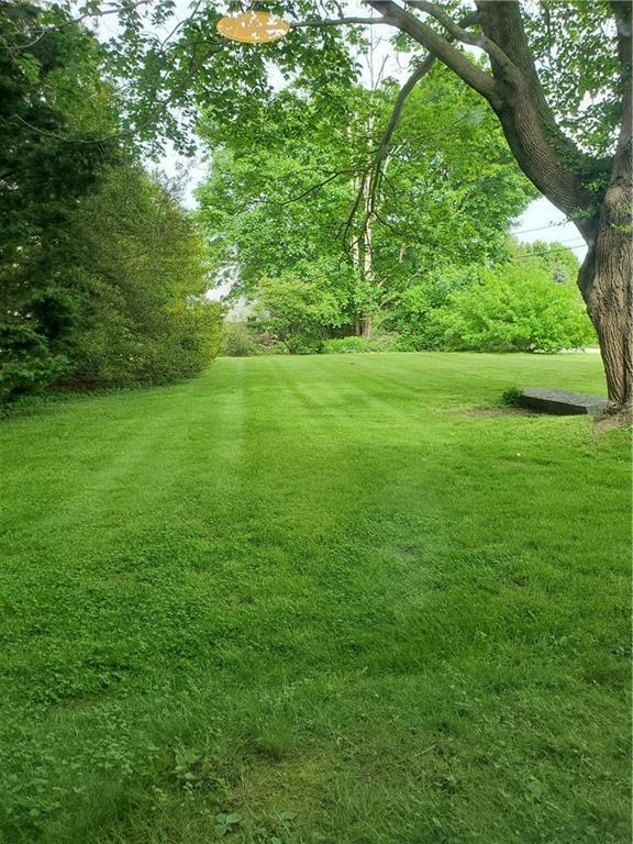 Building Photo - 440 Forest Ave