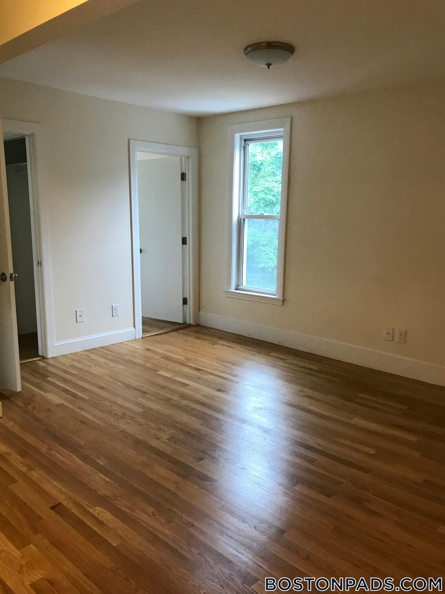 Building Photo - 11 Leverett St