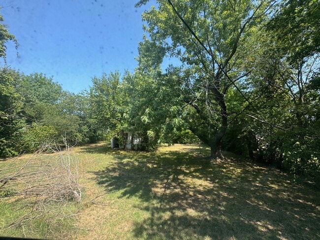 Back yard - 924 E 5th St