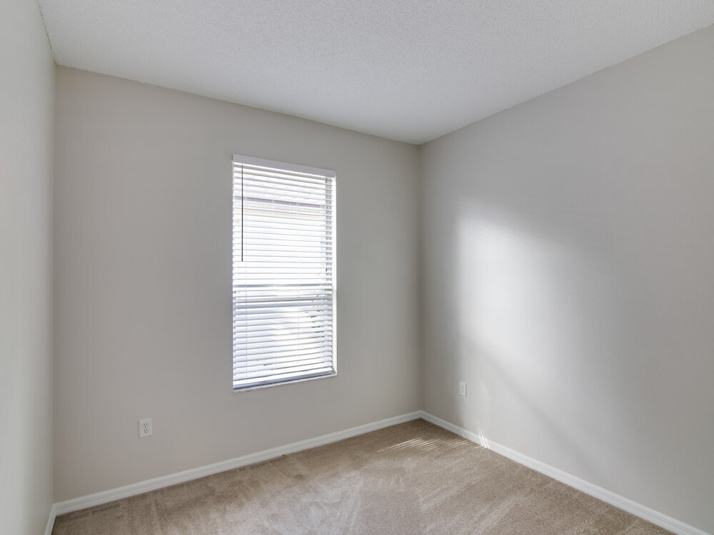 Building Photo - 3703 Cinnamon Fern Loop
