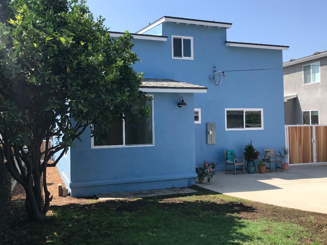 orange tree - 4136 Lyceum Ave