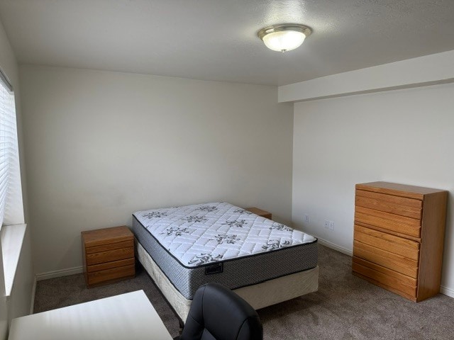 Building Photo - 221 W 2230 N