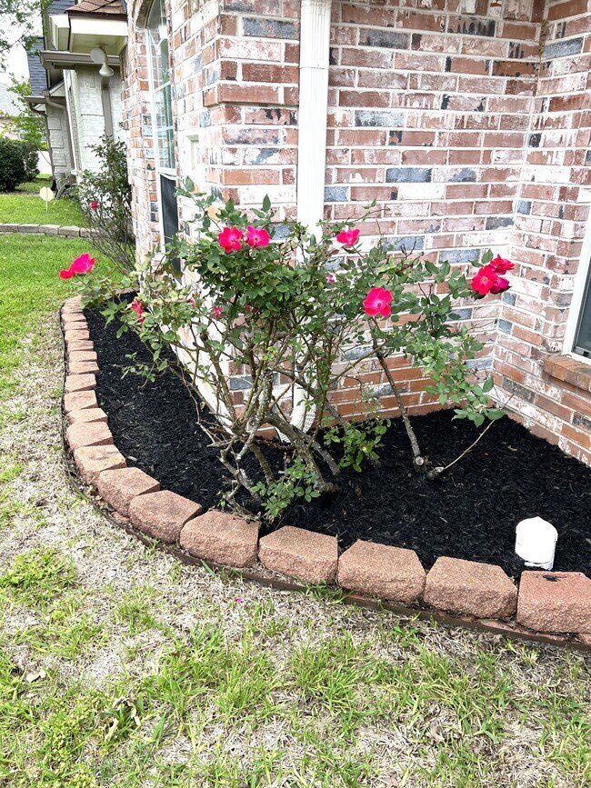 Building Photo - 3114 Pleasant Forest Dr