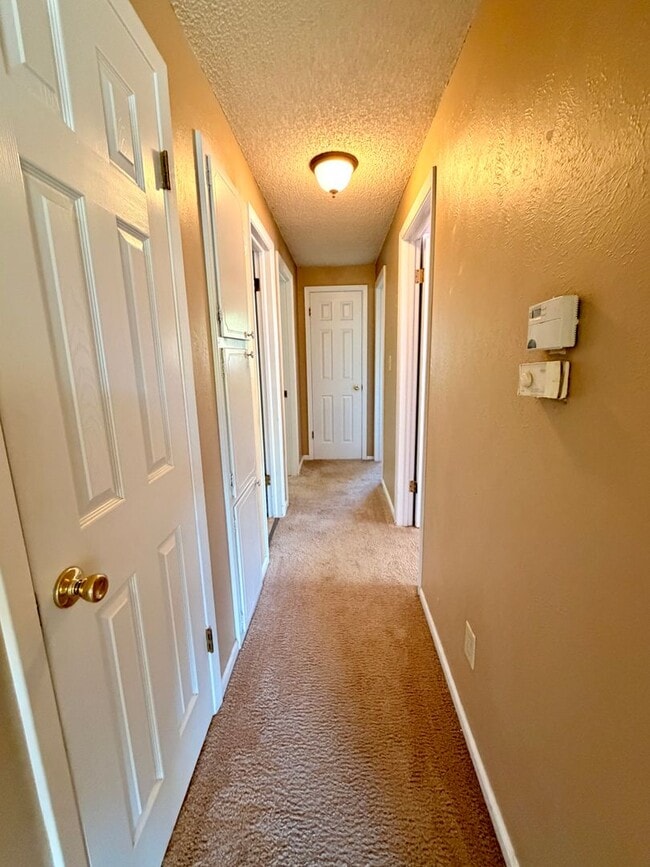 Building Photo - Amazing 3bed/2 bath with finished basement.