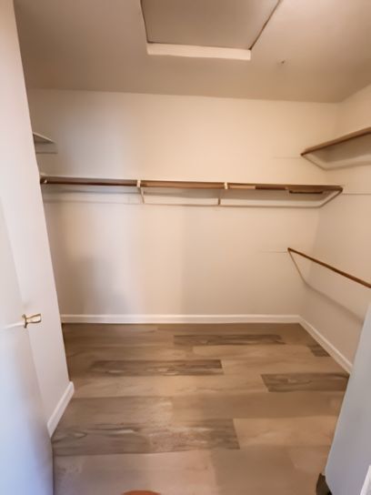 Building Photo - Your Dream  Home Awaits -Spacious Home, La...