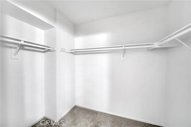 Building Photo - 2565 Calle Benavente