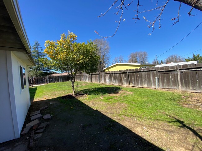 Building Photo - 3 Bed/1 Bath with Large fenced yard in central Paso Robles near Highschool!