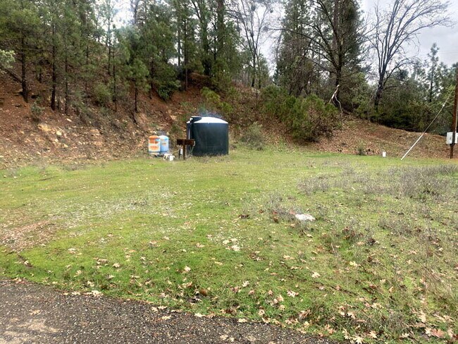 Building Photo - Large 3/2 nestled in the woods!