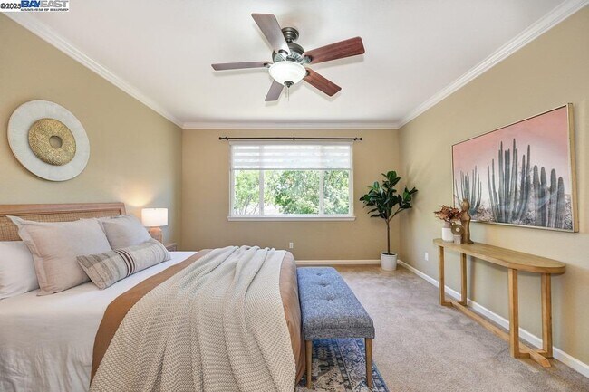 Building Photo - 1207 Villagio Dr