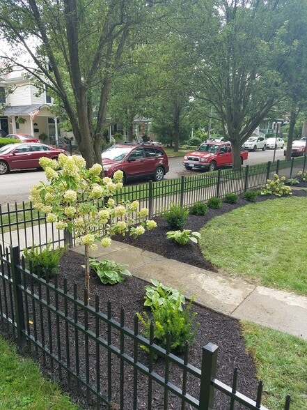 Front yard landscaping - 366 E Mithoff St
