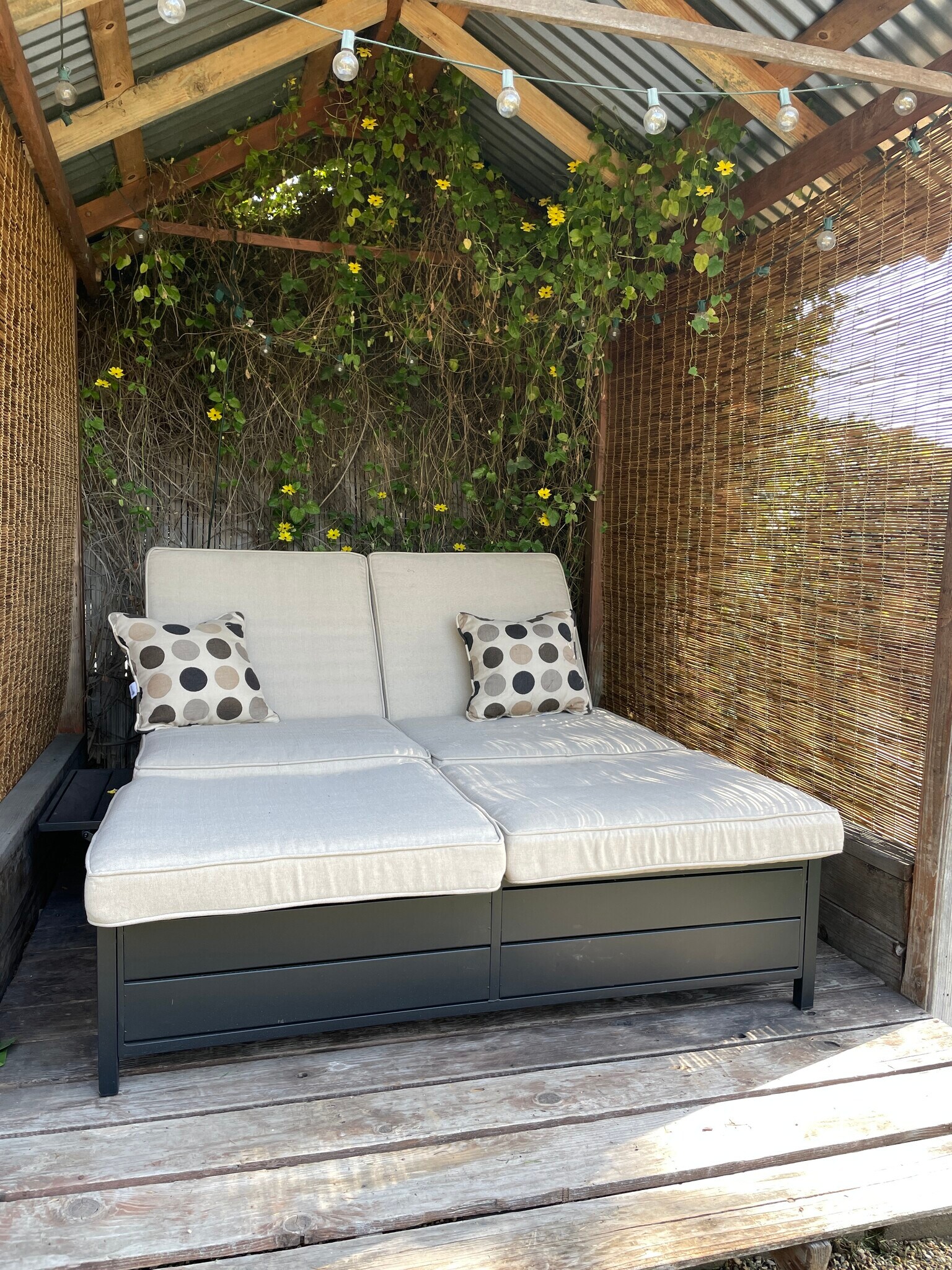 Building Photo - 2437 Arthur St