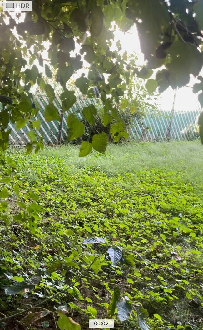 Building Photo - 213-49 38th Ave