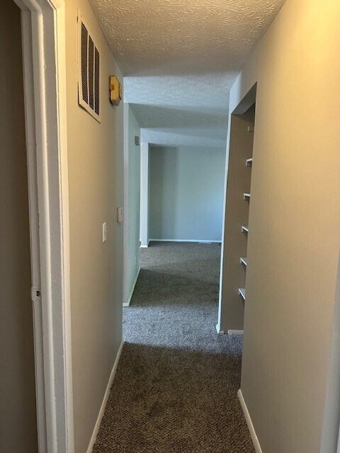 Hallway - 6665 Centennial Dr