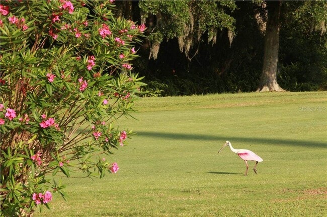 Building Photo - 2454 Australia Way E