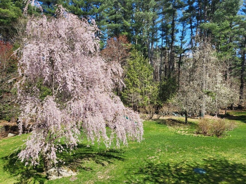 Building Photo - 423 Concord Rd