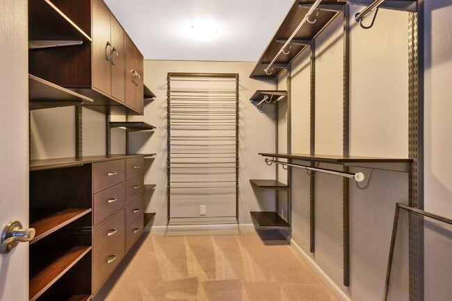 Building Photo - Spacious 3 Bed, 2.75 Bath Seward Park Home!