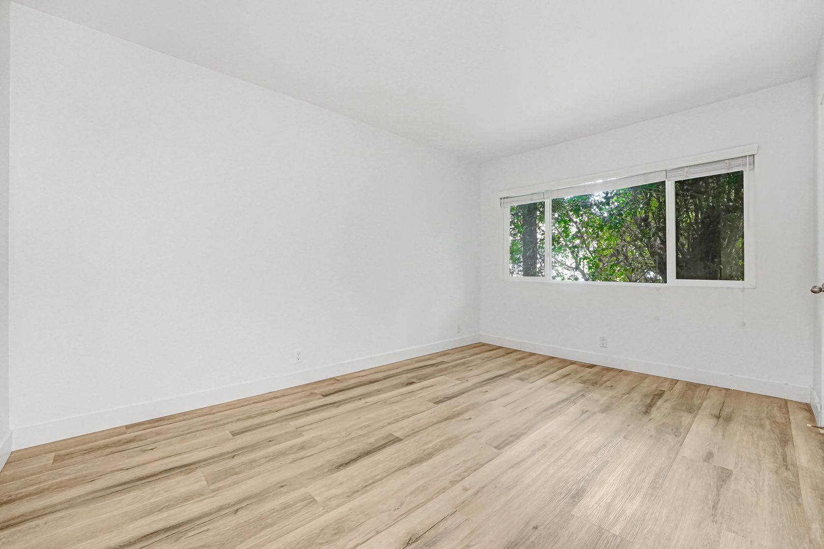 Building Photo - 847 6th St