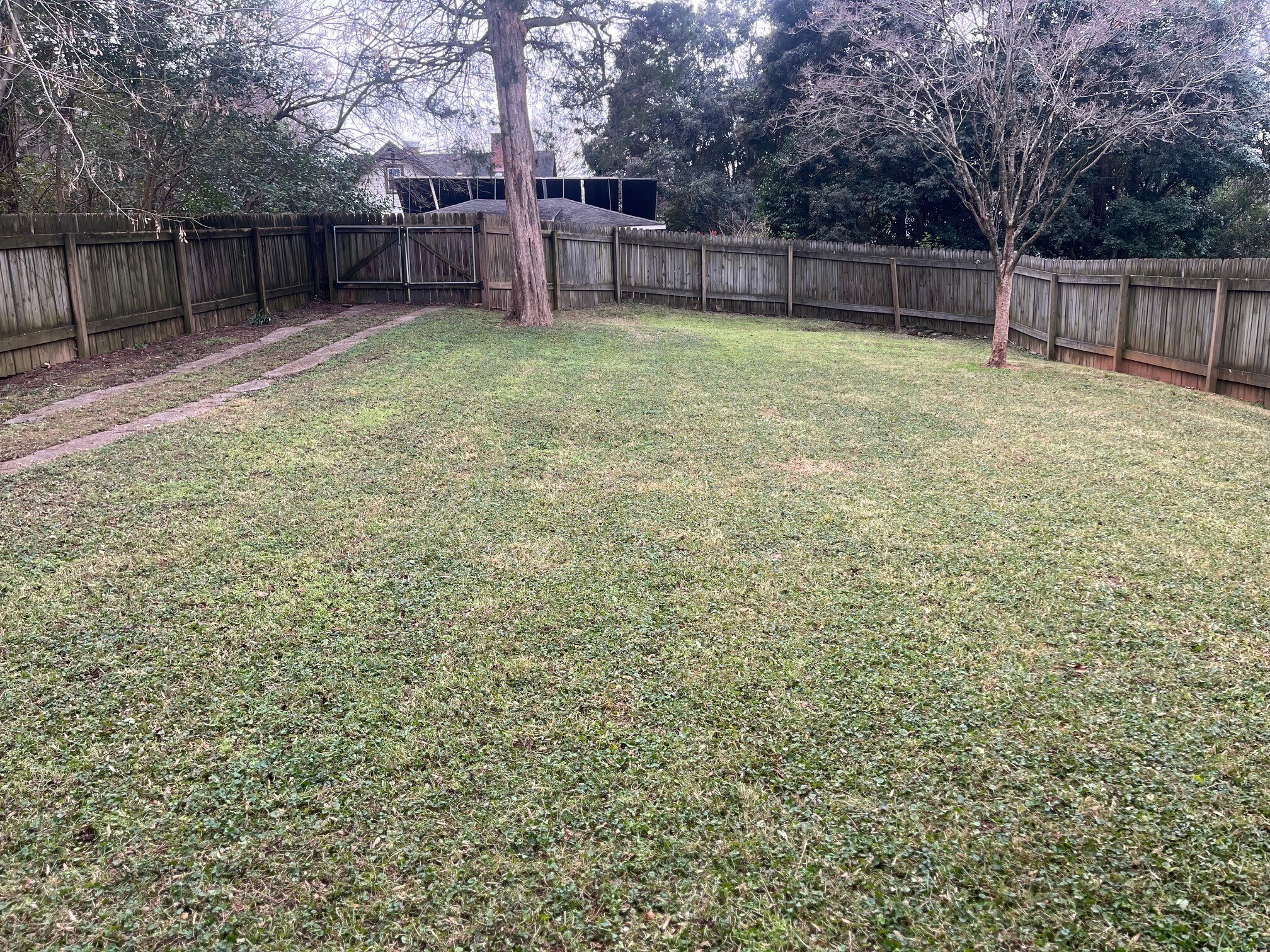 fenced in backyard - 316 Gloria Ave