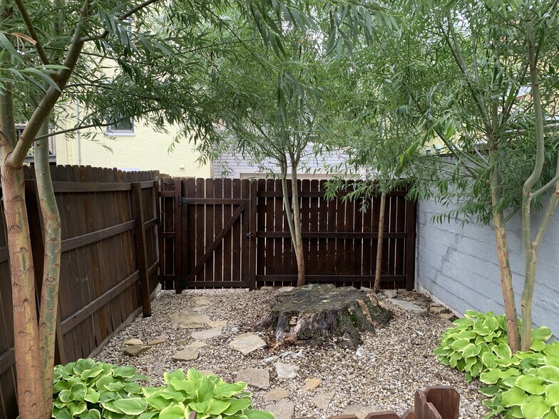 Courtyard/Rear entrance/exit - 1619 Mansfield St