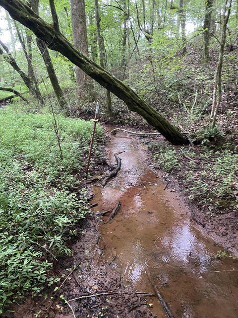 Building Photo - 409 Co Rd 675