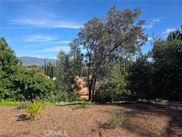 Building Photo - 12304 Louise Ave