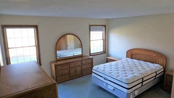 Master bedroom view 1 - 217 Deer Run Trail