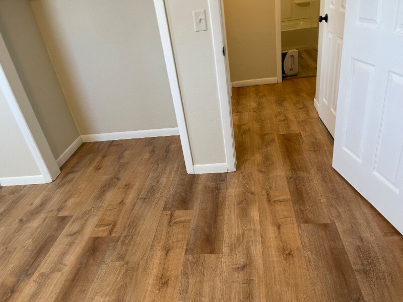 Building Photo - 1301 Buena Vista Dr