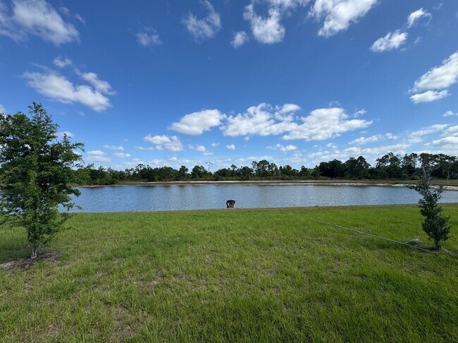 Building Photo - 1153 Oceanic Rd