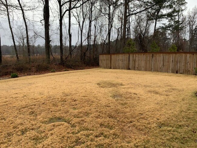 Building Photo - 1149 Noor Ln