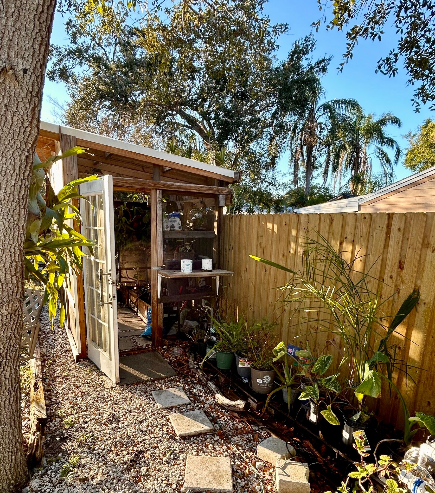 Green house - 9383 86th Ave