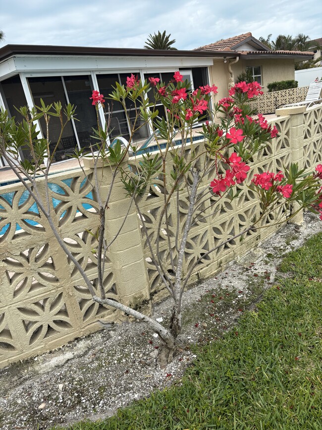 Building Photo - 537 Halyard Ln