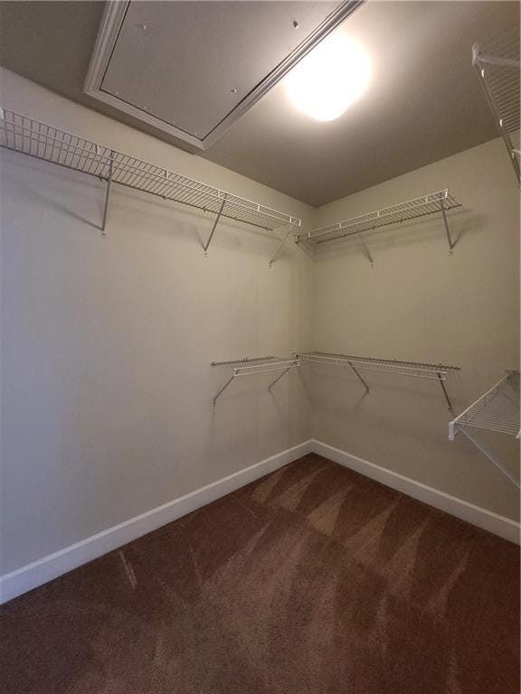 Building Photo - 2428 Hadlow Ln