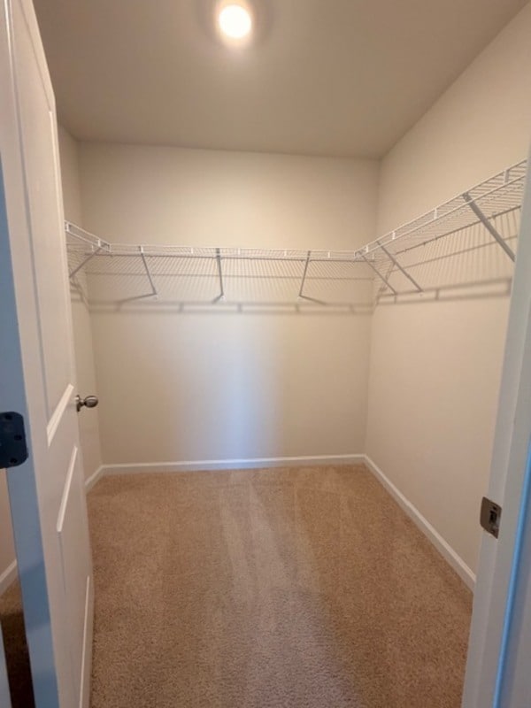 Building Photo - 328 Sandbach Rd