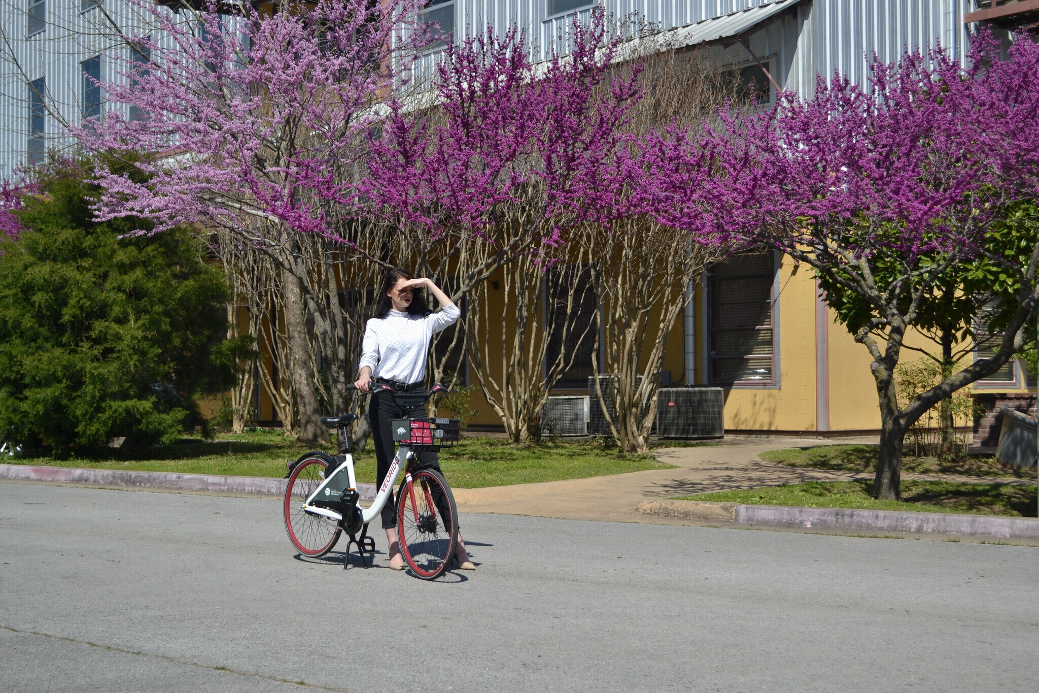 Easy Access to the Arkansas Greenway Trails - 525 S School Ave