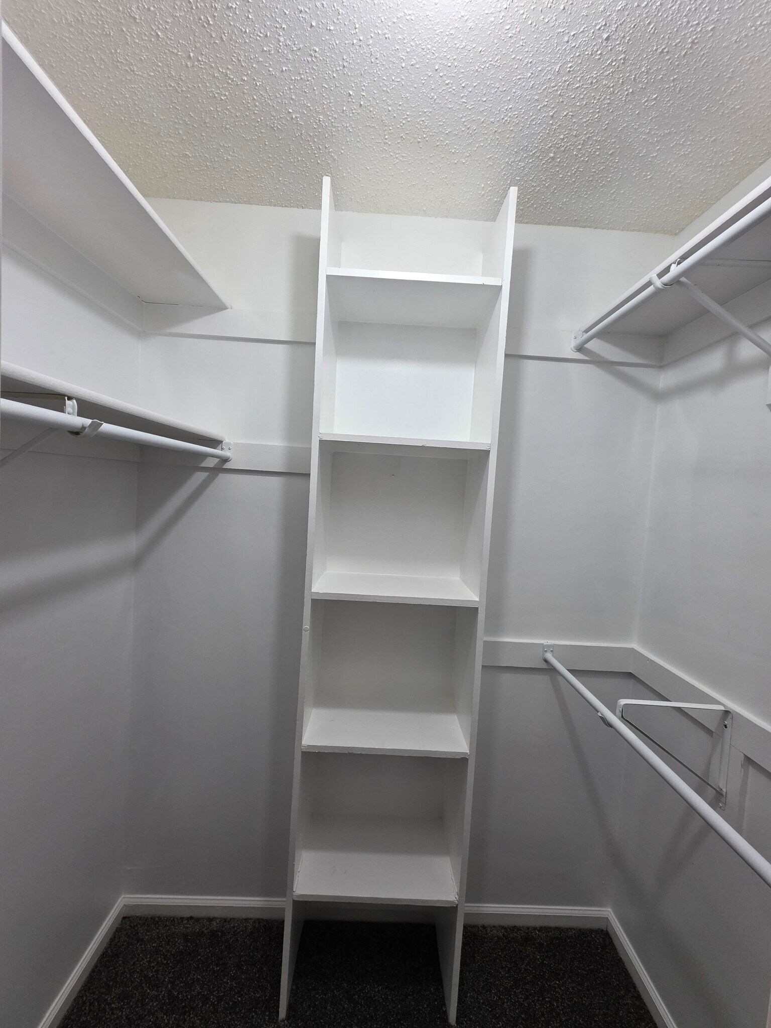 Building Photo - 283 Ferdinand Cir